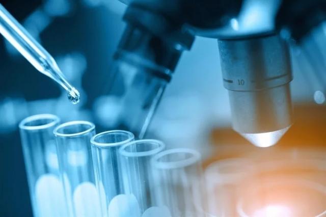 How Strongyloides IgG Antibody Test Provides Accurate Health Solutions